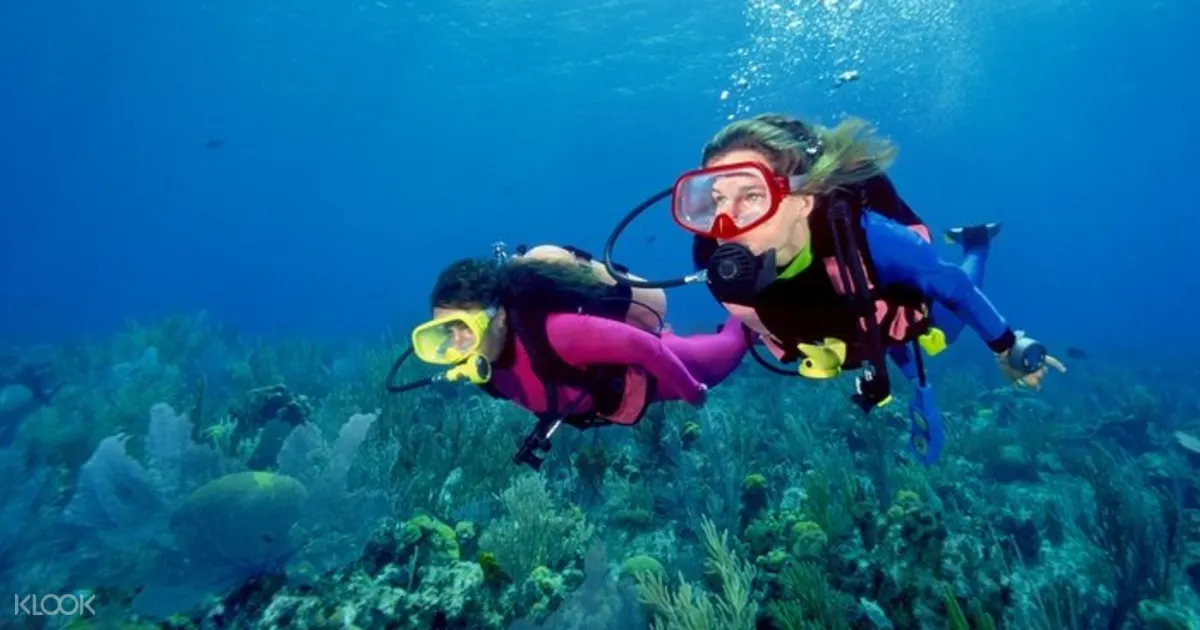Scuba Diving Experience in a Private Island in Goa, India Klook Hong Kong